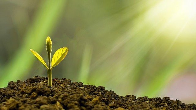 森元皇象の占いは当たる?当たらない?評判や予約方法について