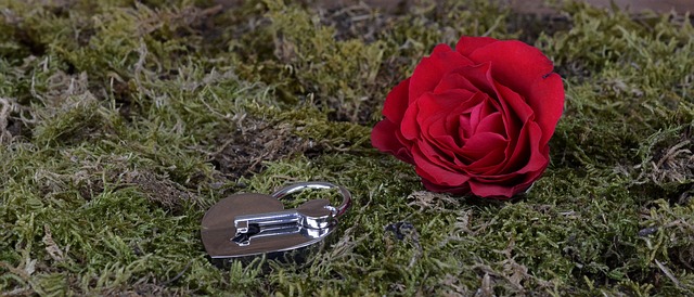 電話占いピュアリの純羽(スミハ)先生の占いは当たる?当たらない?口コミや評判を調査します
